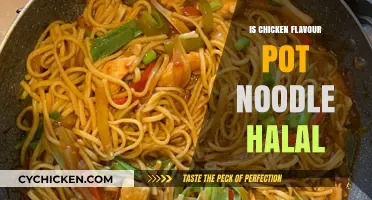 Exploring Halal Options: Are Chicken Flavor Pot Noodles Permissible?