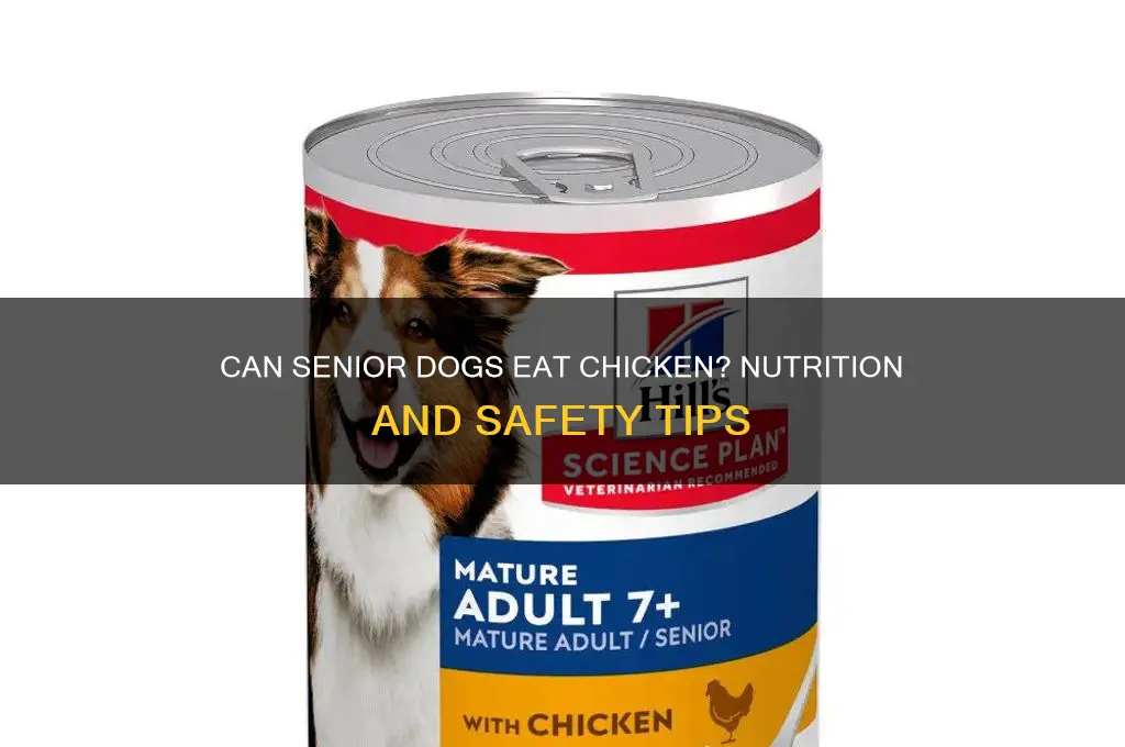 is chicken for a senior dog ok