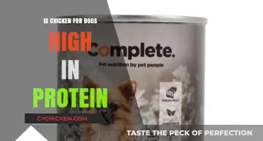 Is Chicken a High-Protein Food for Dogs? Expert Insights