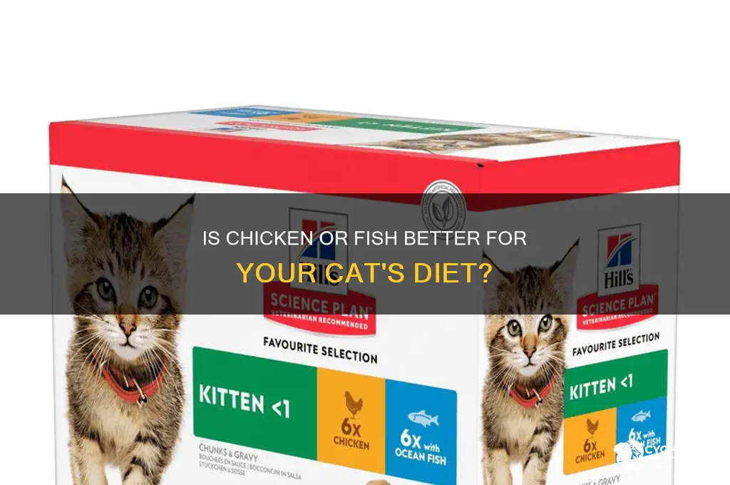 is chicken for fish cat food better