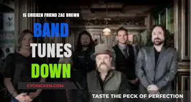 Is Chicken Fried: Zac Brown Band's Iconic Tune Turns Down?
