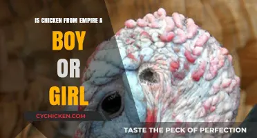 Is Empire's Chicken Male or Female? Unraveling the Mystery