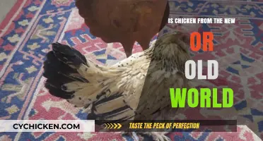 Chicken's Origins: Unraveling the New vs. Old World Debate