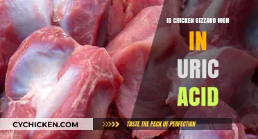 Chicken Gizzard and Uric Acid: Debunking Myths for Healthy Diets