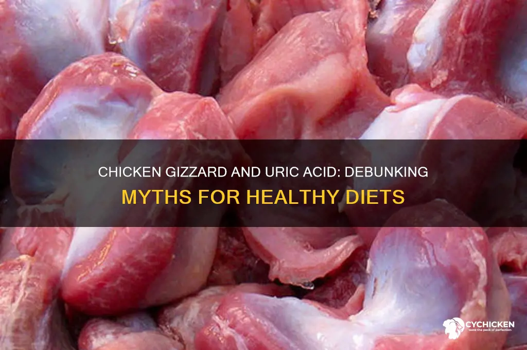 is chicken gizzard high in uric acid