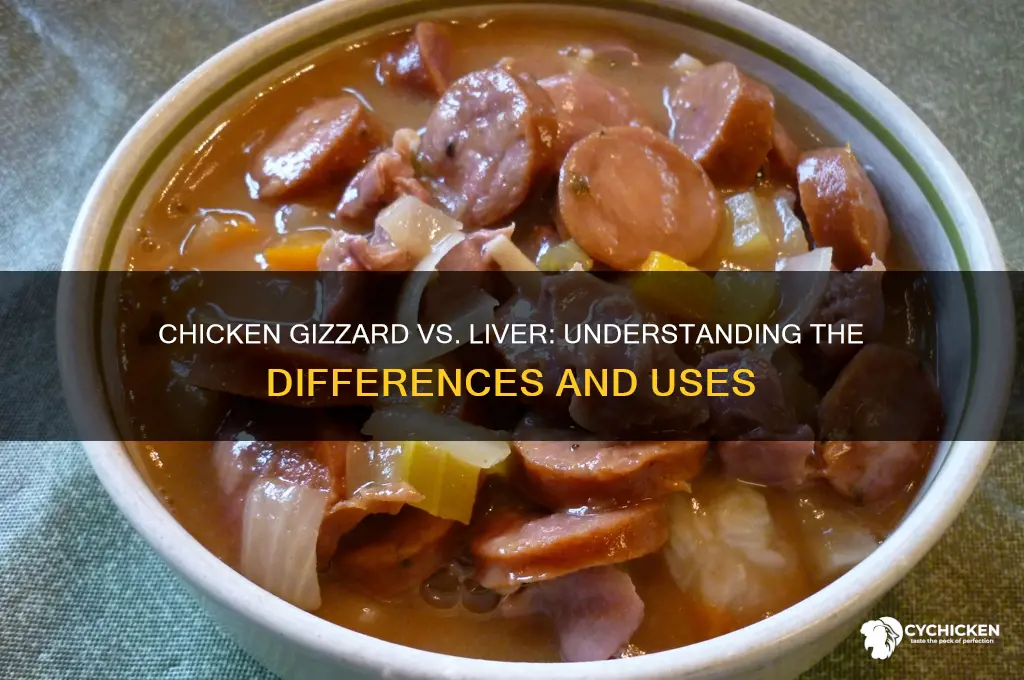 is chicken gizzard the same as chicken liver