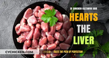 Are Chicken Gizzards and Hearts the Same as Liver?