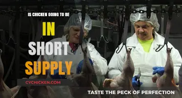 Chicken Shortage Alert: Will Supply Meet Global Demand Soon?