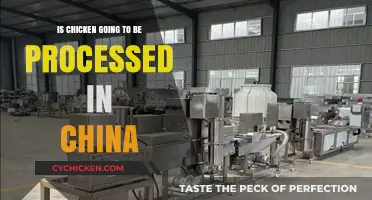 China's Role in Global Chicken Processing: What You Need to Know