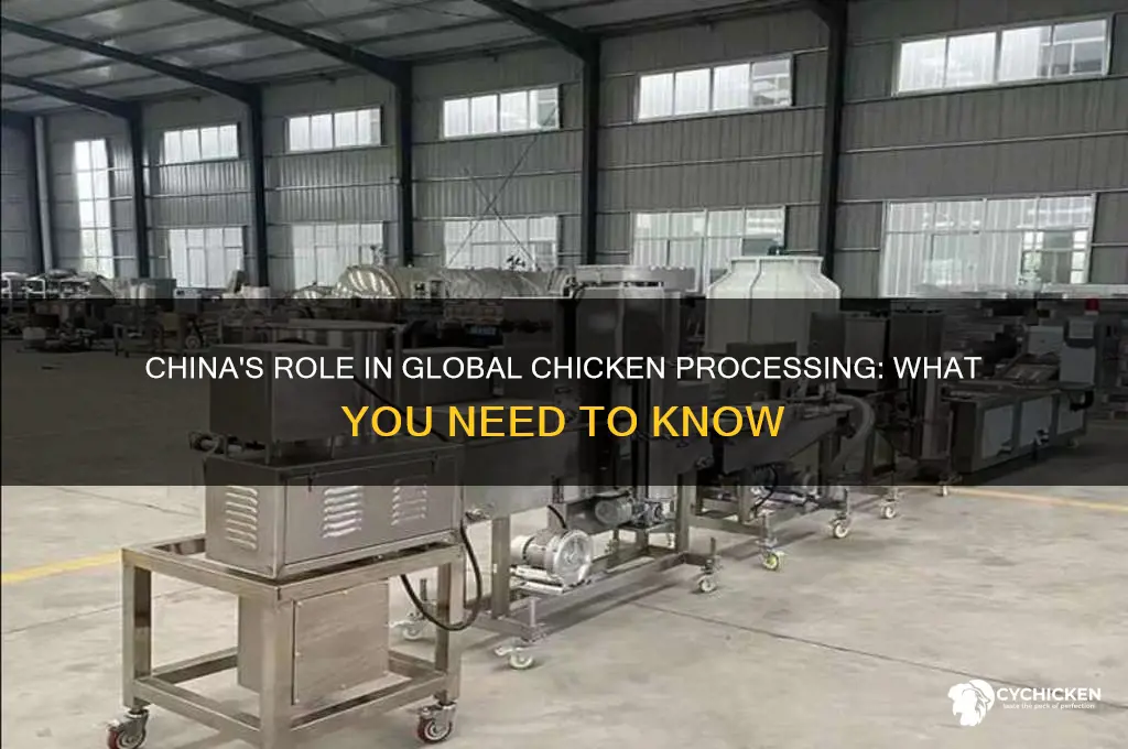 is chicken going to be processed in china