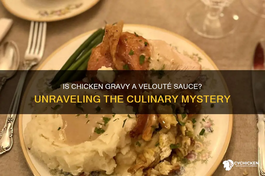 is chicken gravy a veloute sauce