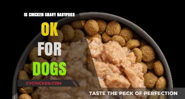Can Dogs Eat Chicken Gravy Baby Food? Safety and Nutrition Guide