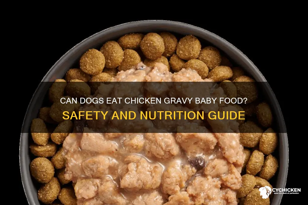 is chicken gravy babyfood ok for dogs