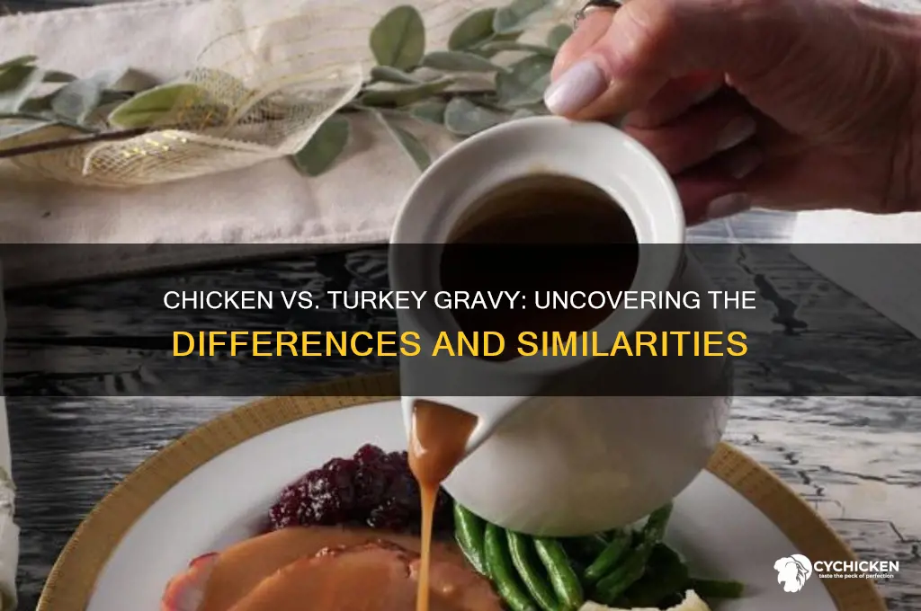 is chicken gravy the same as turkey gravy