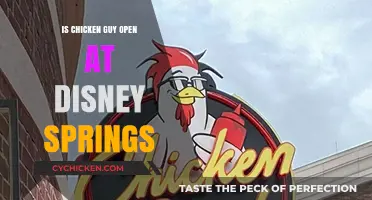 Is Chicken Guy Open at Disney Springs? Hours and Tips