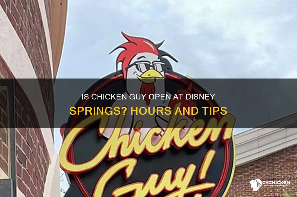 is chicken guy open at disney springs