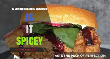 Is the Chicken Habanero Sandwich Too Spicy for You?