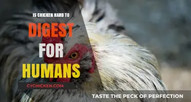 Is Chicken Hard to Digest? Unraveling the Truth for Humans