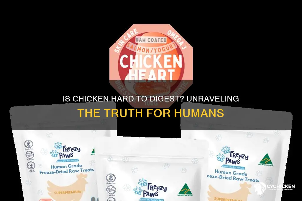 is chicken hard to digest for humans