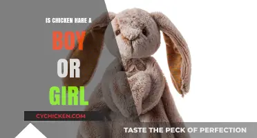 Is Chicken Hare Male or Female? Unraveling the Gender Mystery