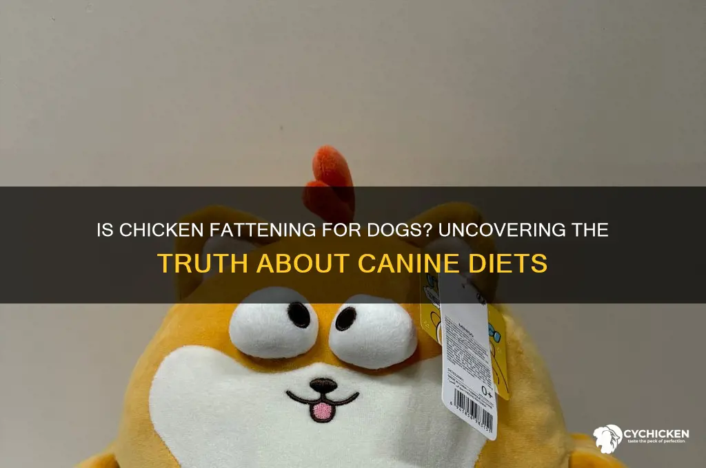 is chicken high in fat for dogs
