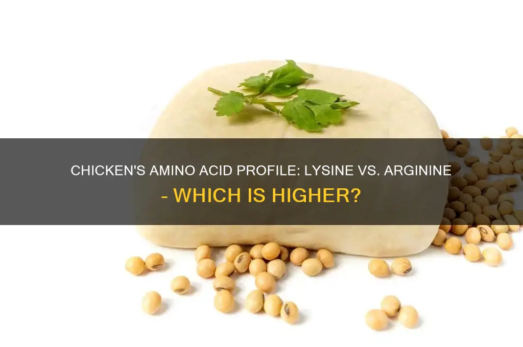 is chicken high in lysine or arginine