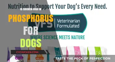 Is Chicken High in Phosphorus for Dogs? What You Need to Know