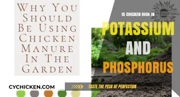 Chicken's Potassium and Phosphorus Content: A Nutritional Breakdown