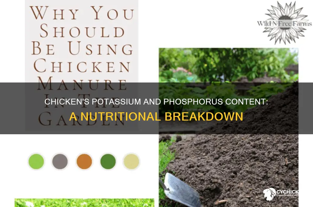 is chicken high in potassium and phosphorus