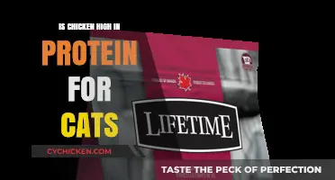 Is Chicken a High-Protein Choice for Your Cat's Diet?