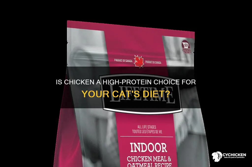 is chicken high in protein for cats