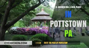 Chicken Hill: A Real Place in Pottstown, PA?