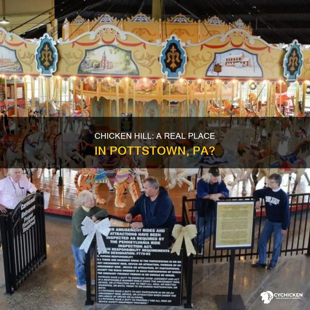 is chicken hill a real place in pottstown pa