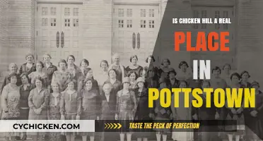 Is Chicken Hill Real? Exploring Pottstown's Historic Neighborhood