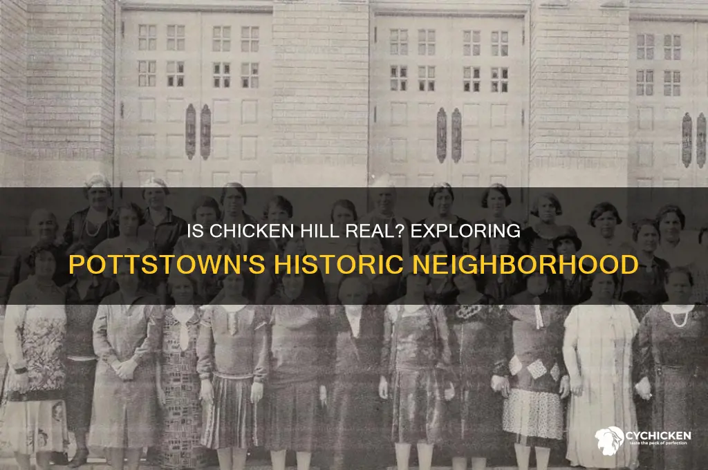 is chicken hill a real place in pottstown