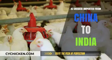 Is Chicken Imported from China to India? Uncovering the Truth