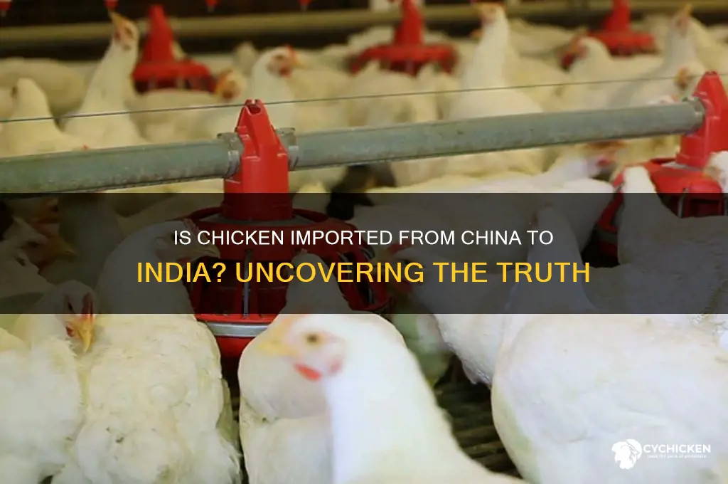 is chicken imported from china to india
