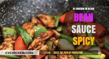 Is Chicken in Black Bean Sauce Spicy? A Flavorful Exploration