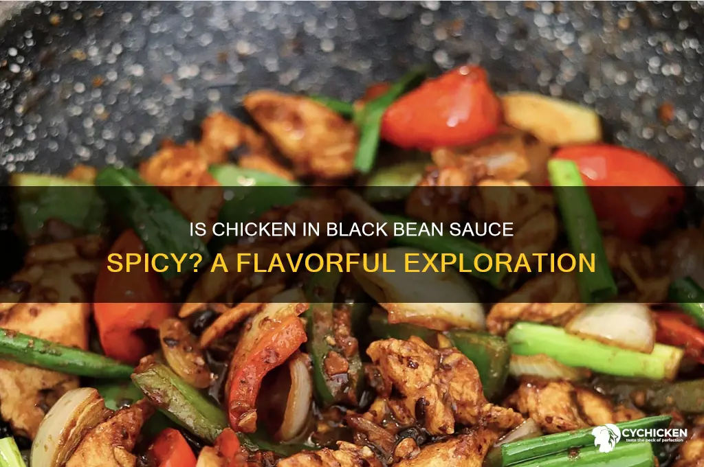 is chicken in black bean sauce spicy