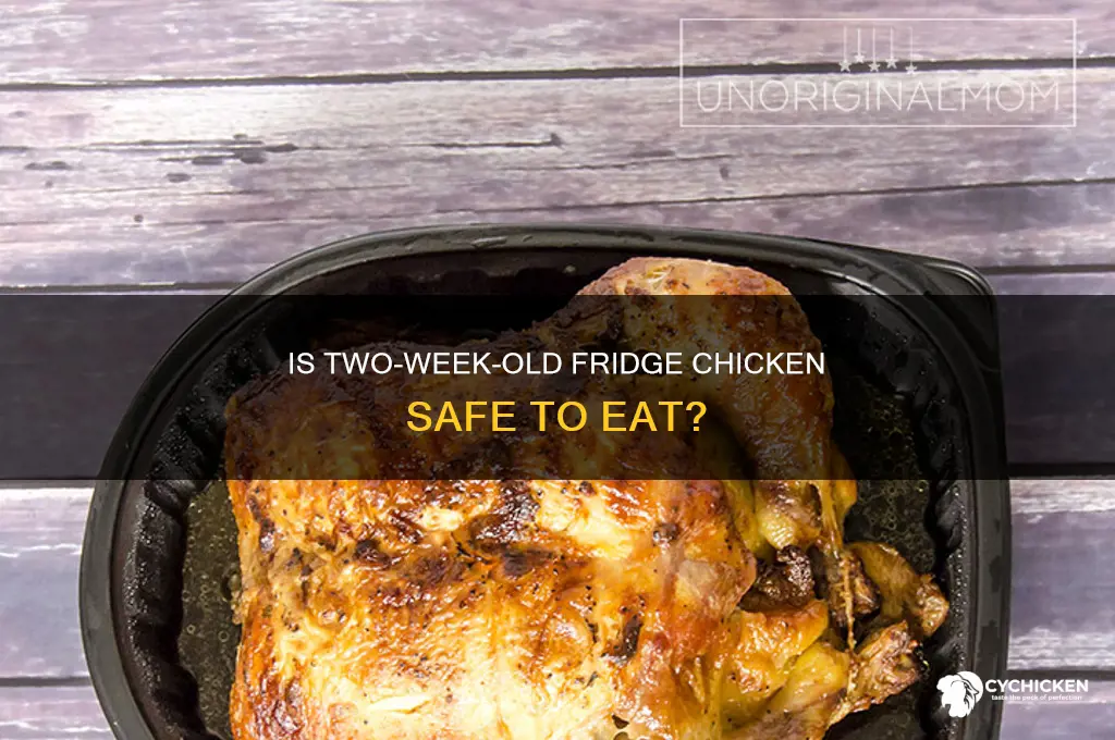 is chicken in fridge for 2 weeks ok