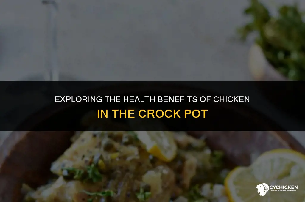 is chicken in the crock pot healthy