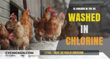 Is US Chicken Chlorine-Washed? Uncovering the Truth Behind the Debate