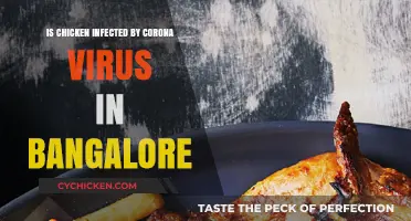 Bangalore Chicken Safety: Corona Virus Infection Concerns Explained