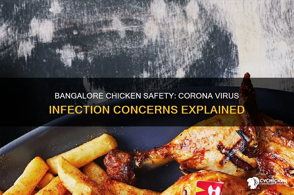 is chicken infected by corona virus in bangalore