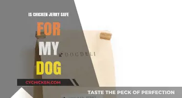 Is Chicken Jerky Safe for Dogs? A Pet Owner's Guide