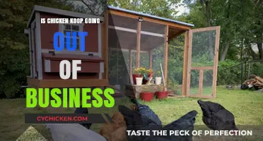 Is Chicken Koop Closing? Analyzing the Business Struggles and Future Outlook