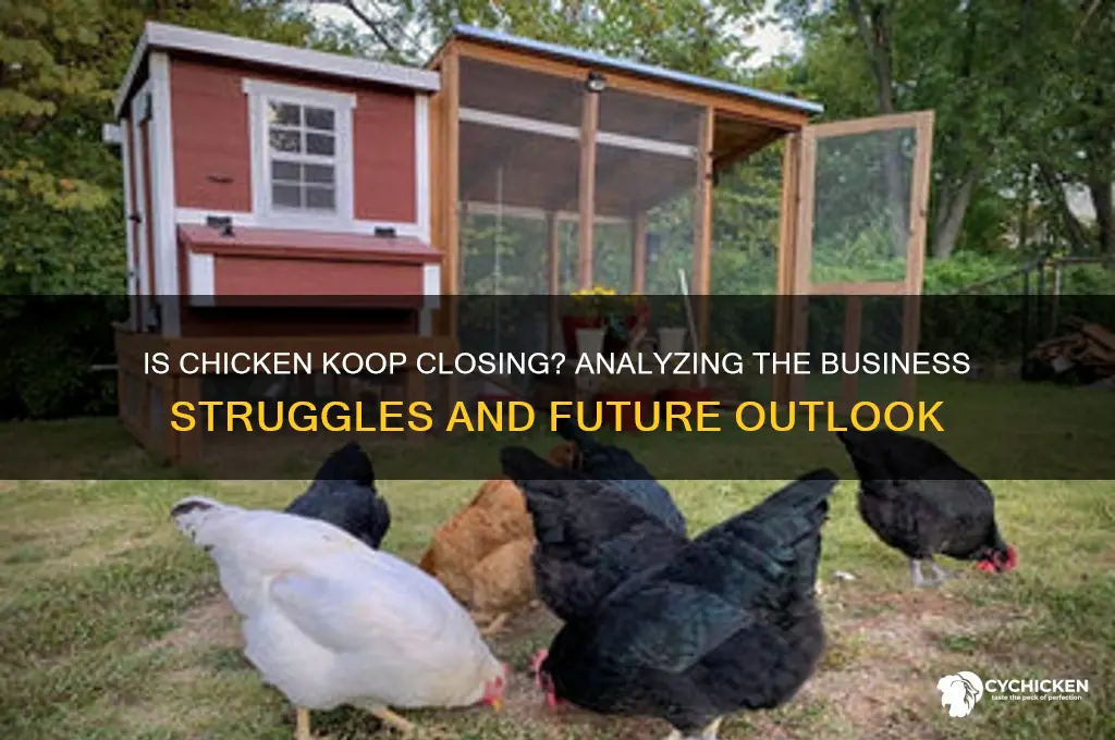 is chicken koop going out of business