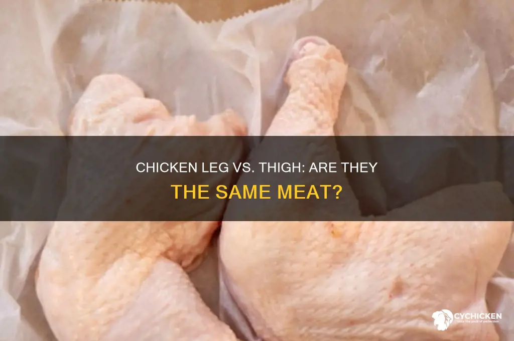 is chicken leg meat ang thigh meat the same