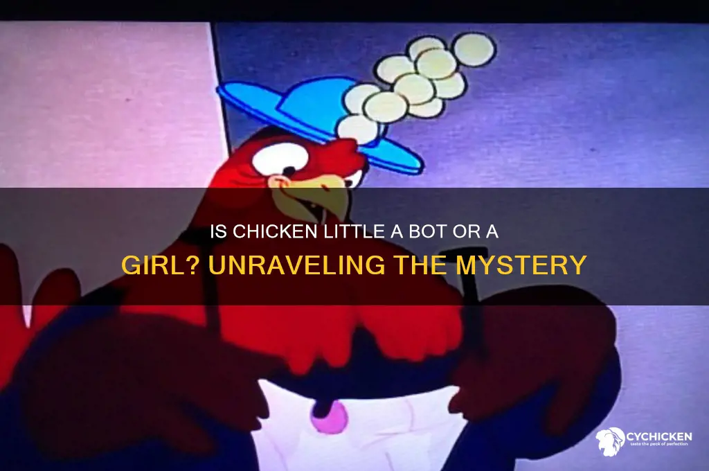 is chicken little a bot or girl
