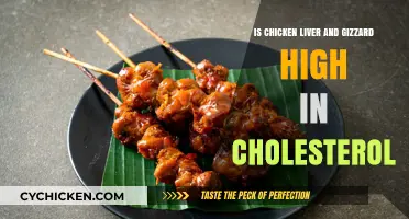 Chicken Liver and Gizzard: Cholesterol Concerns and Nutritional Insights
